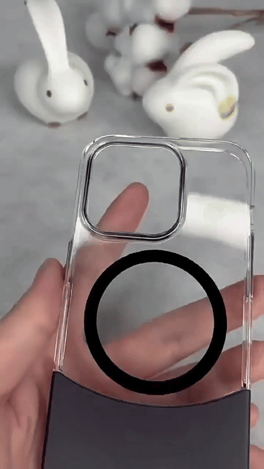 Two in One (2-in-1) Style Case for iPhone